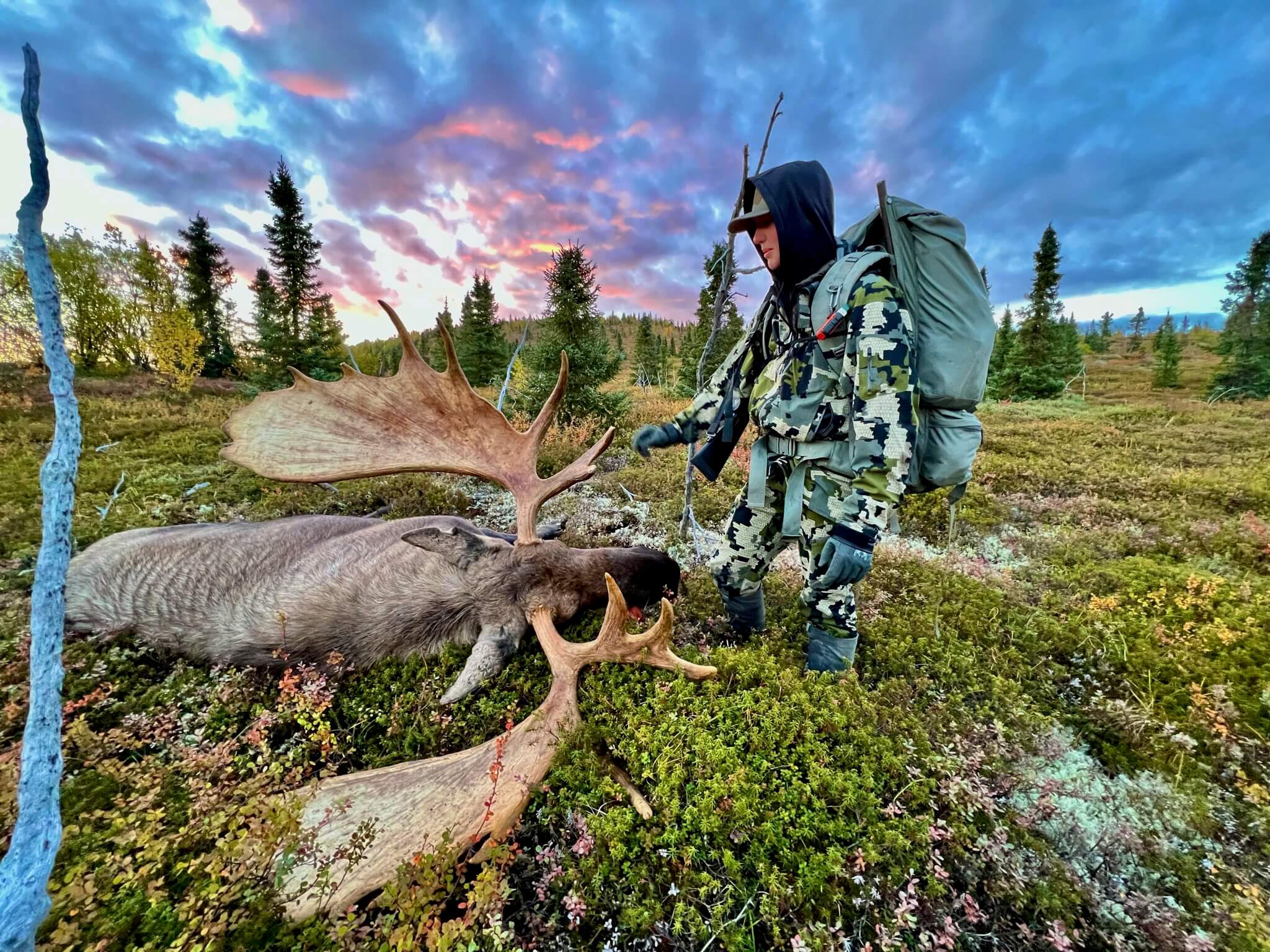 Trophy bull moose hunt in the Bristol Bay / Lake Iliamna region