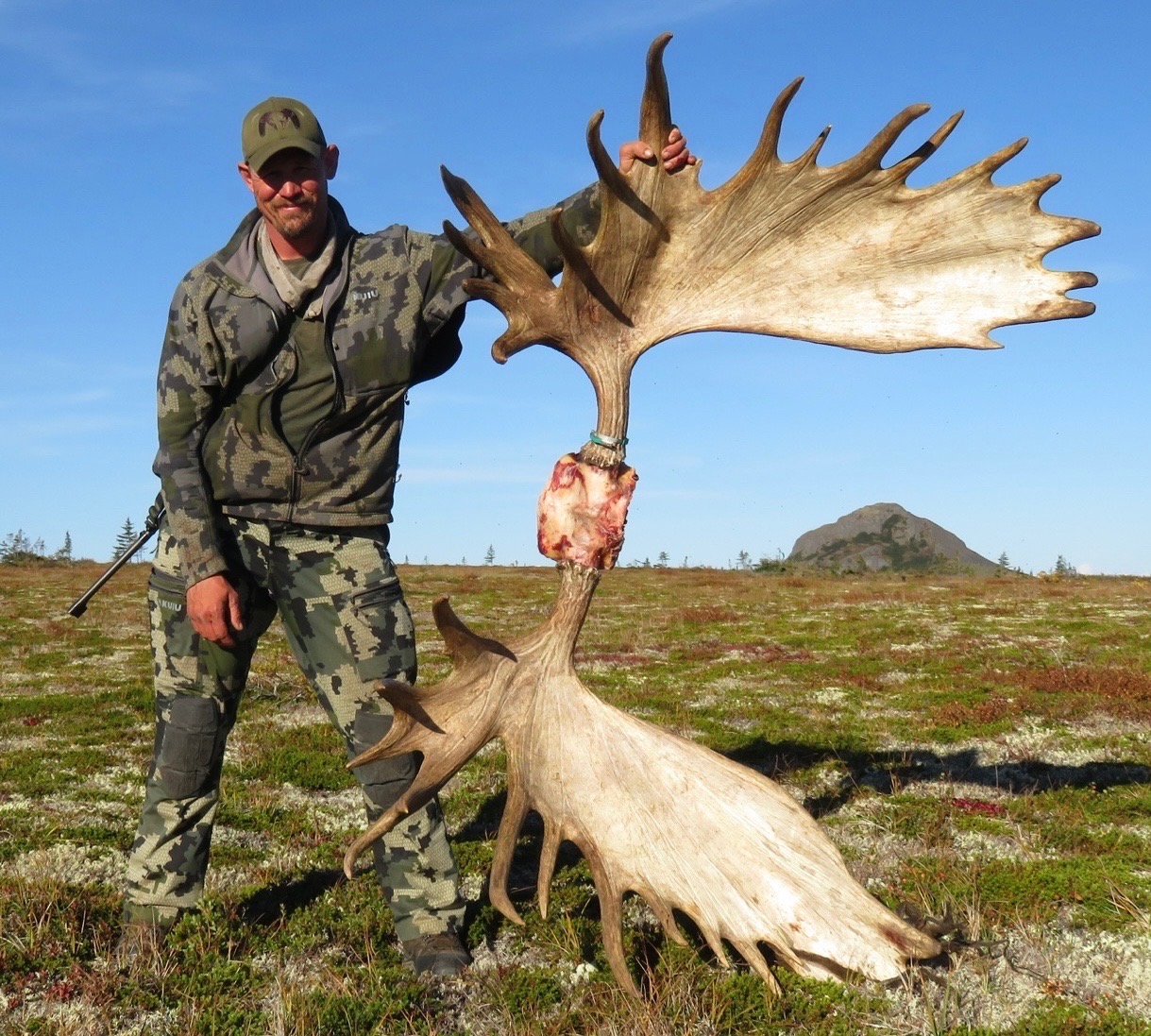 Massive moose shed antler found in the Bristol Bay backcountry