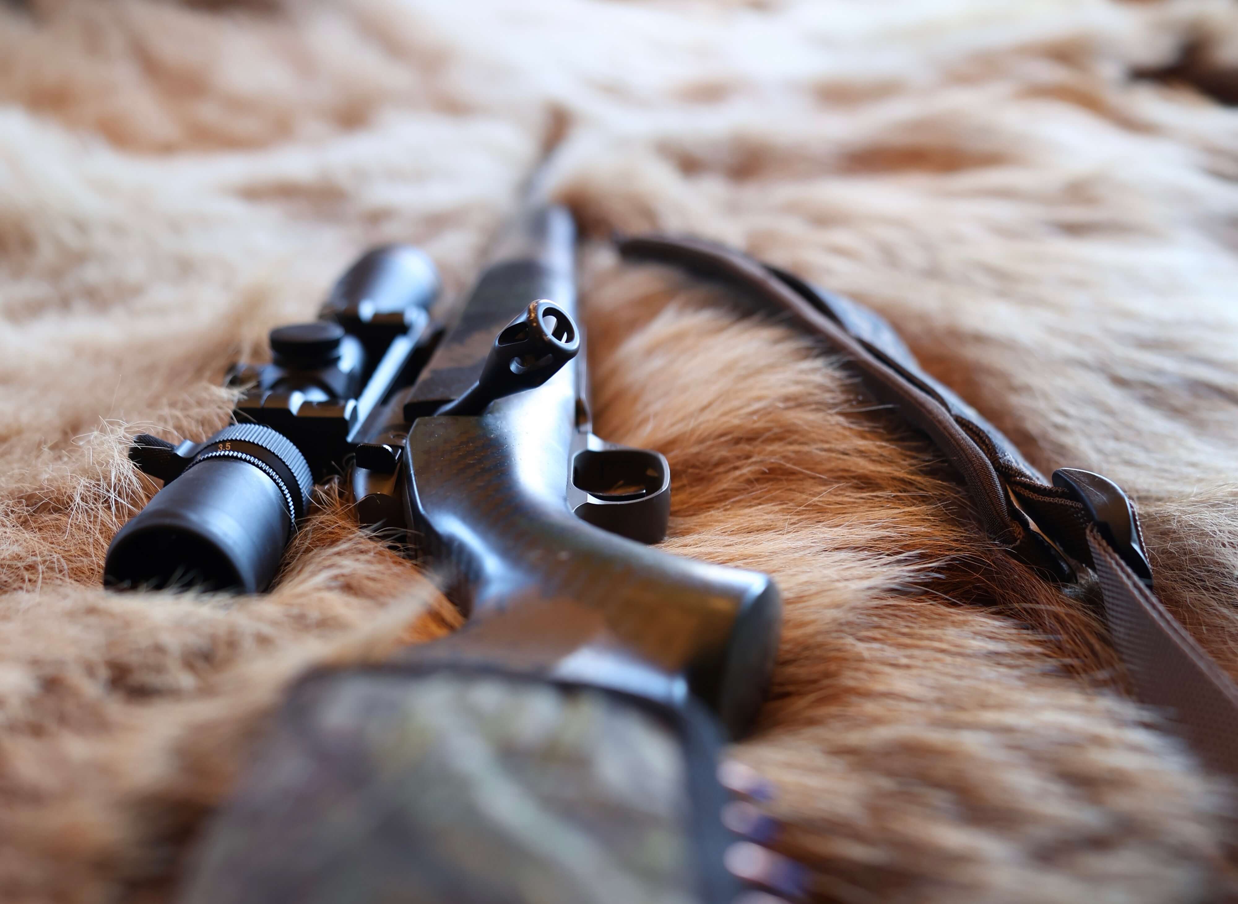 Rifle and hunting gear for Alaska big game